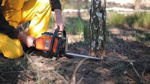 Best Weed Control  in East Marion, NY