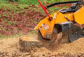 Best Lawn Pest Prevention  in East Marion, NY