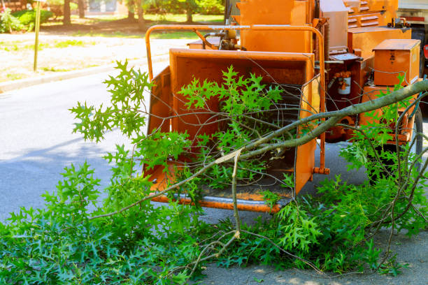 Best Lawn Mowing  in East Marion, NY