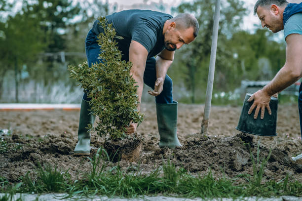 East Marion, NY Tree Services Company