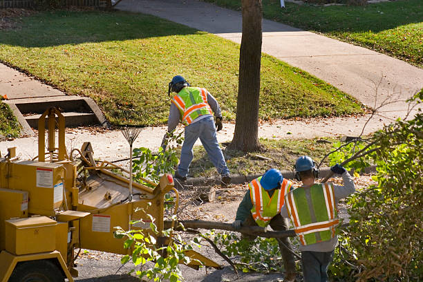 Lawn Drainage Solutions in East Marion, NY