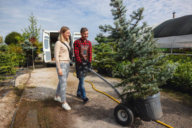 Best Tree and Shrub Care  in East Marion, NY